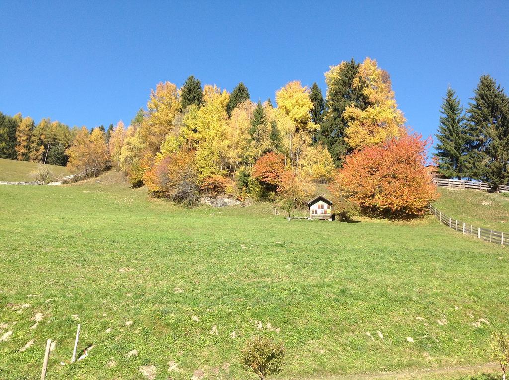 Berggasthaus Agritur Moserhof براييز  المظهر الخارجي الصورة